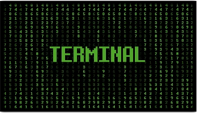 Terminal