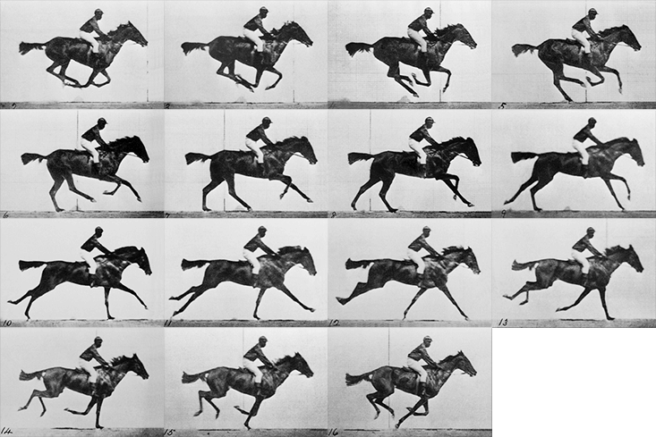 Sprite sheet d'un cheval au galop en 15 étapes