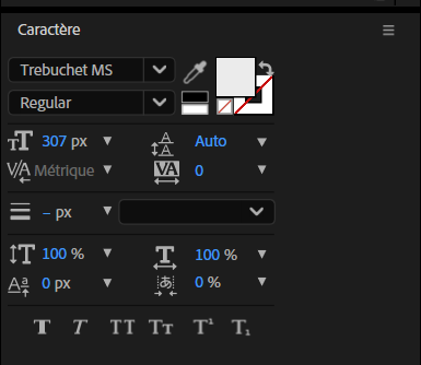 Panneau Caractère