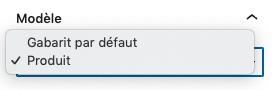 Menu déroulant de l'interface de WP pour choisir un modèle.