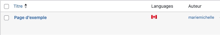 On ne voit que le drapeau du Canada à côté du contenu Page d'exemple, cela signifie qu'il n'est disponible qu'en français canadien.